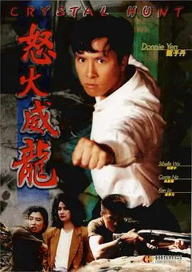 《怒火威龙》：硬汉回归，绝地反击！一场关乎正义与复仇的终极对决，看得你肾上腺素飙升！